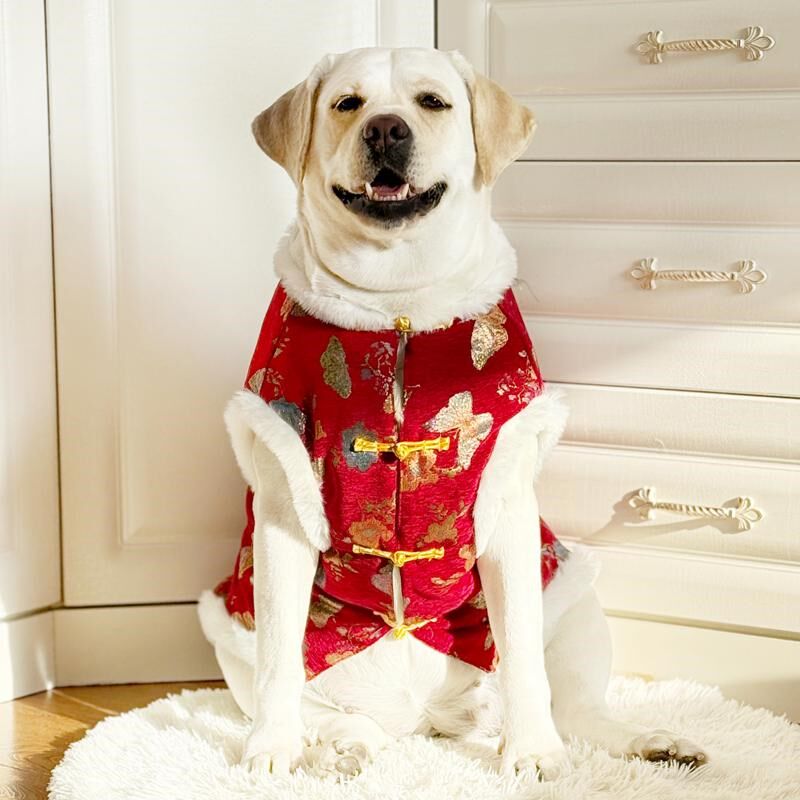 狗狗衣服大型犬新年喜庆衣服拉布拉多金毛唐N装大型犬过年喜庆衣