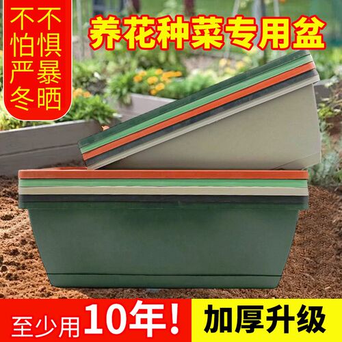 塑料花盆家用阳台种菜盆蔬菜种植神器蔬菜霍伦盆长Z方形长条槽