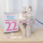 仙女风猫咪狗狗中小型犬t背心式 牵引绳遛狗遛猫绳宠胸背带宠物用