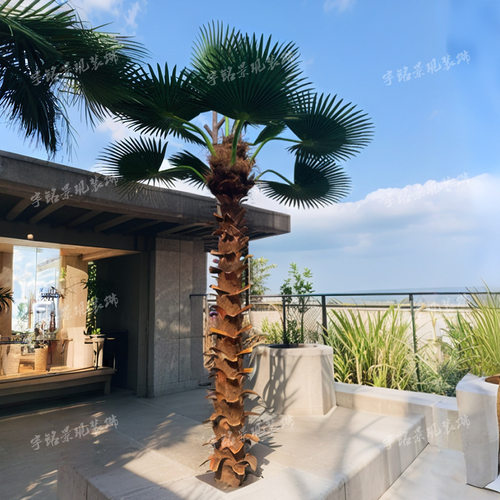 仿真棕榈椰子树棕榈树假树室内外酒店大堂装饰造景大型热带扇葵树