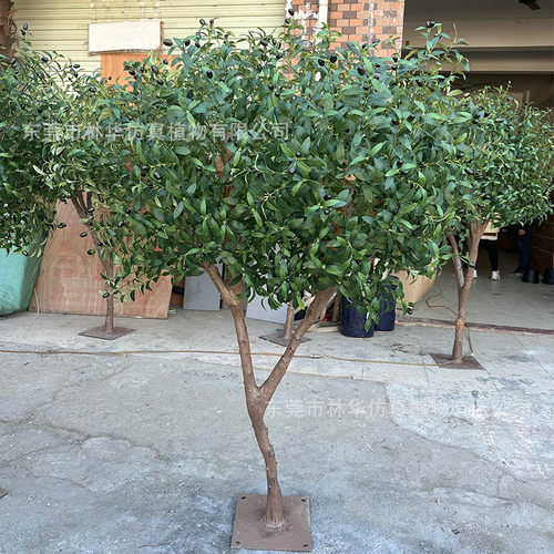 仿真橄榄树 园林工程造景绿植装饰摆件 实木假树橄榄树厂家