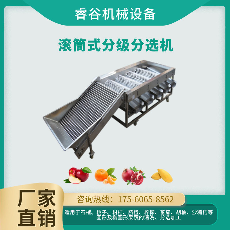智能精准筛选槟榔过滤筛选分选设备百香果滚桶提升直径分级机