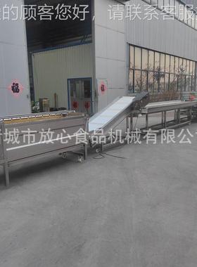 预制菜根茎FX-600类类流水 根线茎蔬菜清洗设备 毛辊洗净清菜流水