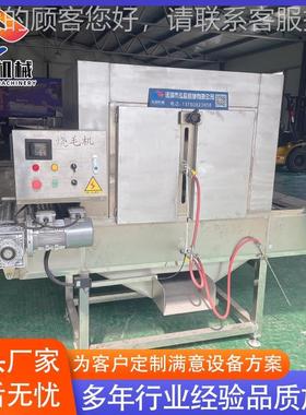 锈钢续式带皮五花燎不毛机 连自动猪MNE全蹄烧毛机 猪耳朵燎毛机