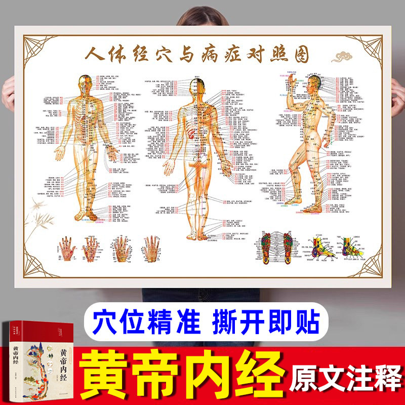 【省中医同款】经络穴位标准大图