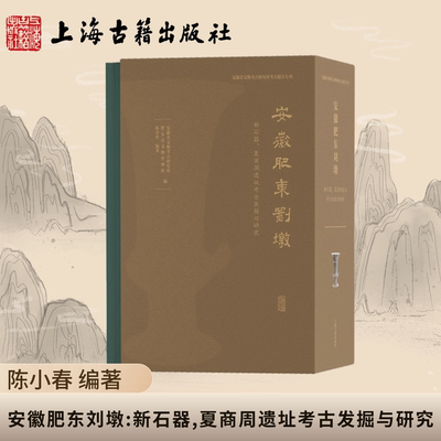 【官方正版】安徽肥东刘墩：新石器、夏商周遗址考古发掘与研究 精装 简体横排 上海古籍出版社