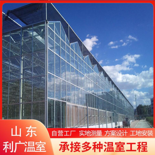 连栋玻璃温室 大棚骨架 蔬菜温室大棚 兰花大棚 智能控制系统,模玩/动漫/周边/娃圈三坑/桌游,文化/体育周边,淘宝优惠券,粉丝福利购,淘宝优惠卷