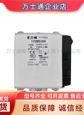 170M5394 170M5395 170M5396 170M5397 170M5398全新熔断器现货