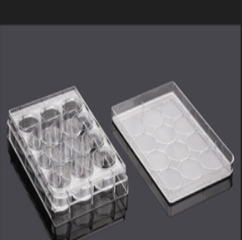 赛普803012 12孔TC平底细胞培养板盒装灭菌