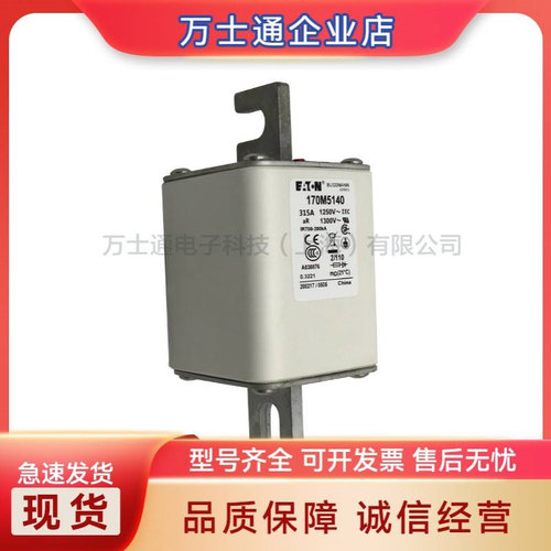 170M5164 170M5165 170M5166 170M5167 170M5168全新熔断器现货