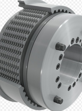 Ortlinghaus 0-422-101-25-000-300 制动器 旋转法兰