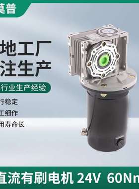 加工200W24V蜗轮蜗杆减速直流有刷电机马达 60Nm直流有刷电机