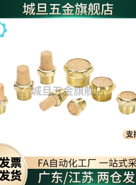 替电磁阀平头消声器 BSLM-01 BSLM-02 BSLM-03 BLSM-04 BSM-06 分