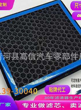 CF10285/87139-30040/CF11671/FL3Z19N619A 高效空气滤芯车载空调