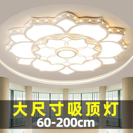 2025年新款简约现代led客厅吸顶灯花形会议室时尚智能灯具