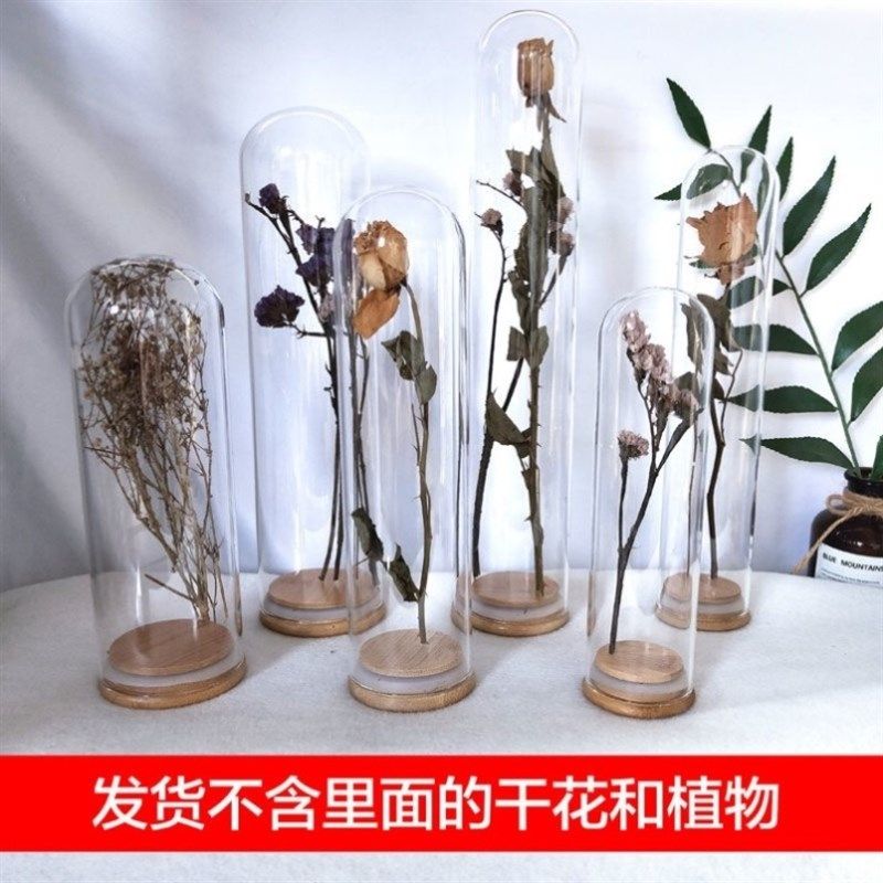 干花瓶子密封软木塞加高玻璃罩瓶玫瑰竹底收纳摆件玻璃花瓶试管瓶图片