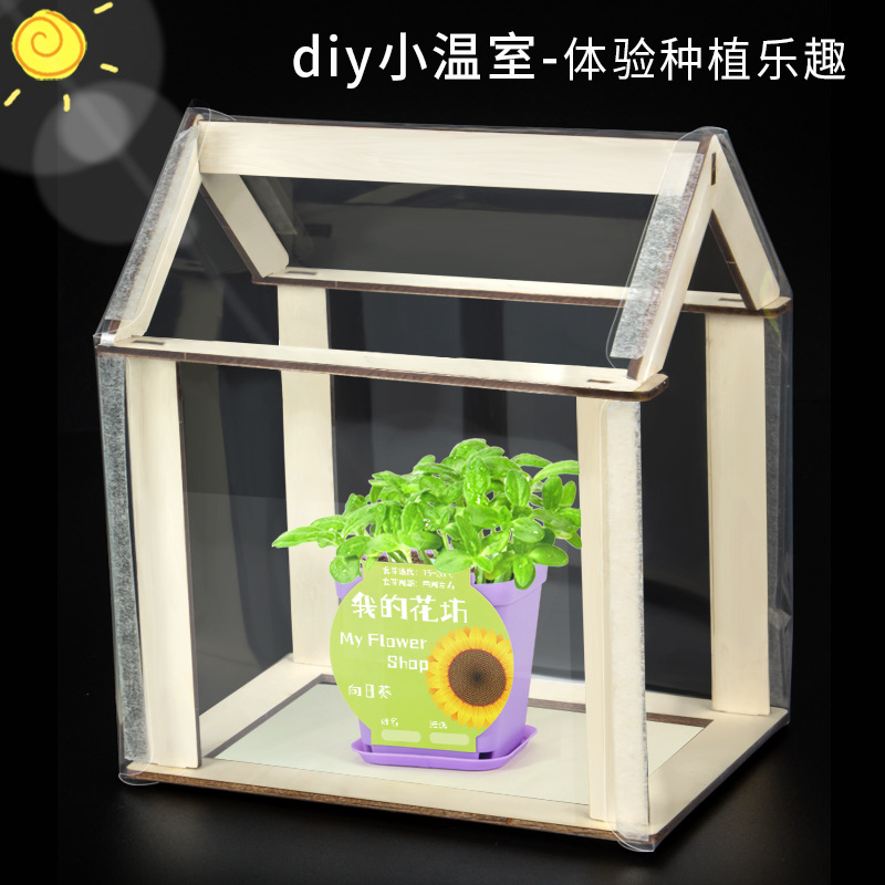科学实验diy小温室植物阳光小暖房儿童手工科技小制作材料包套装