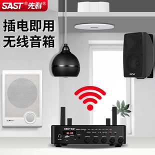 先科V1壁挂音响蓝牙音箱无线家用商用店铺吸顶式音箱吊球喇叭音柱