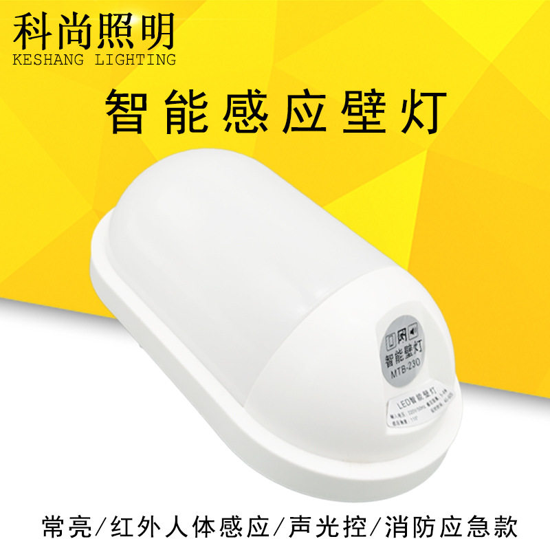 led人体感应户外壁灯墙壁灯声控智能楼道走廊光控庭院灯应急壁灯