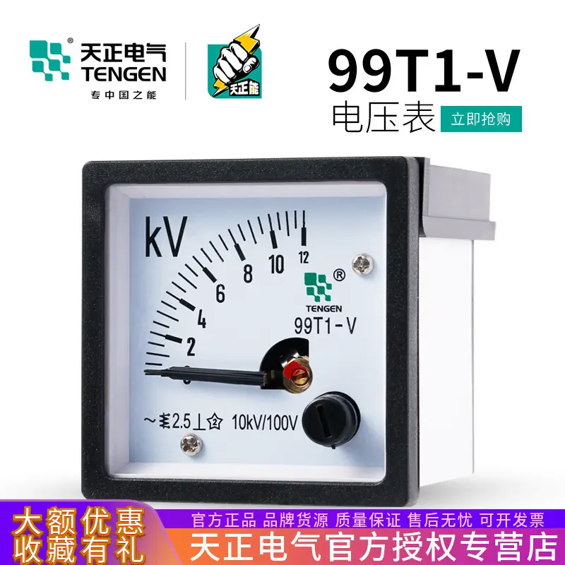TENGEN天正99T1-V指针式48*48mm交流电压表450V100V10KV250V12KV