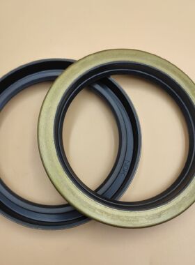 NOK单唇口外骨架油封AB0145E0AB0147F0AB0260E0AB0382E0AB0478EO