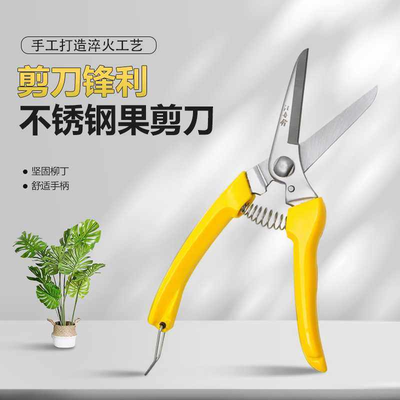 汪吾铨不锈钢果剪刀树枝工业修枝盘栽厨房食品电工剪刀园林剪
