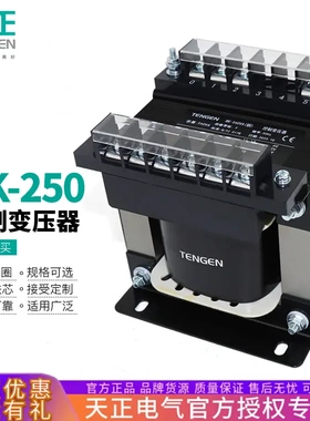 TENGEN天正BK-250VA单相控制变压器380V变220V1103624V全铜250W