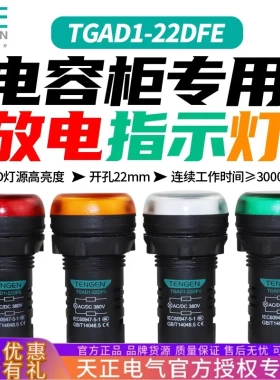 TENGEN天正TGAD1-22DFE电容柜专用放电指示灯放电装置信号灯380V