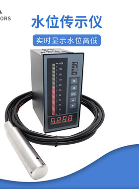 WH311水位传示仪 三重防雷 0-10米