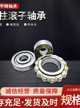 天马圆柱滚子轴承 NF208EM NF209EM NF210EM 现货批发