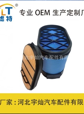 蜂窝滤芯P608665 AF4203 CA5278 36539600 P6061220890661P608666