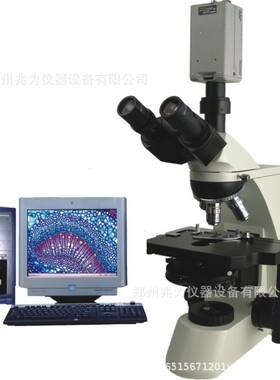 型相差显微镜BPH-300三目倒置电脑型BPH-660E