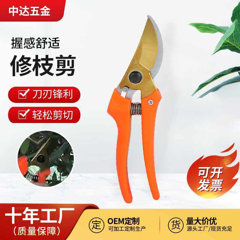 园艺剪刀修枝剪不锈钢鸟嘴型果树树枝修剪剪刀园林花艺专用剪刀