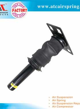 适用于International Prostar 减振器总成 3595977C95 3595977C96