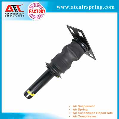 适用于International Prostar 减振器总成 3595977C95 3595977C96