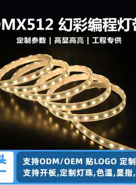 24v5050led软灯带IP67环保RGB硅胶霓虹灯DMX512灯条幻彩跑马灯条