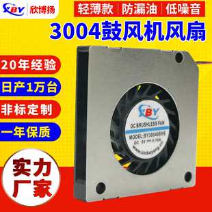 超薄3004风扇侧吹3004鼓风机直流风扇微型锅轮散热风扇