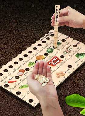 Wooden Plant Ruler with Seed Dibber木质多功能种植尺播种指南