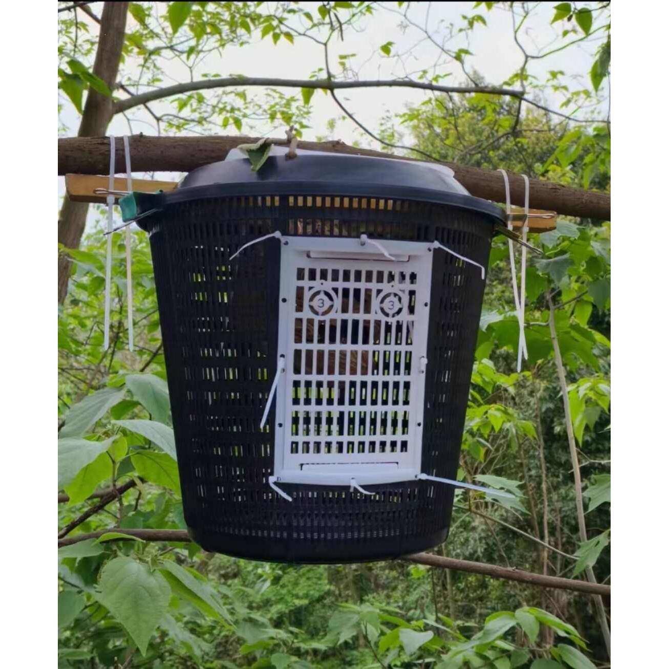 胡蜂控王笼免脱箱放养笼盖黄脚黑盾葫芦蜂王防逃笼1件10套