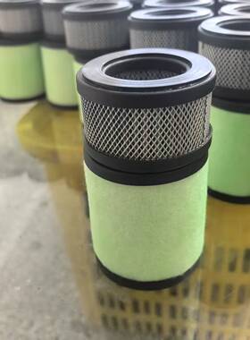 爱德华EMF20真空泵油雾分离器滤芯A22304077/A22304199