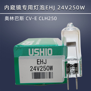 牛尾USHIO EHJ 24V250W米泡奥林巴斯 CV-E CLH250 内镜冷光源灯泡