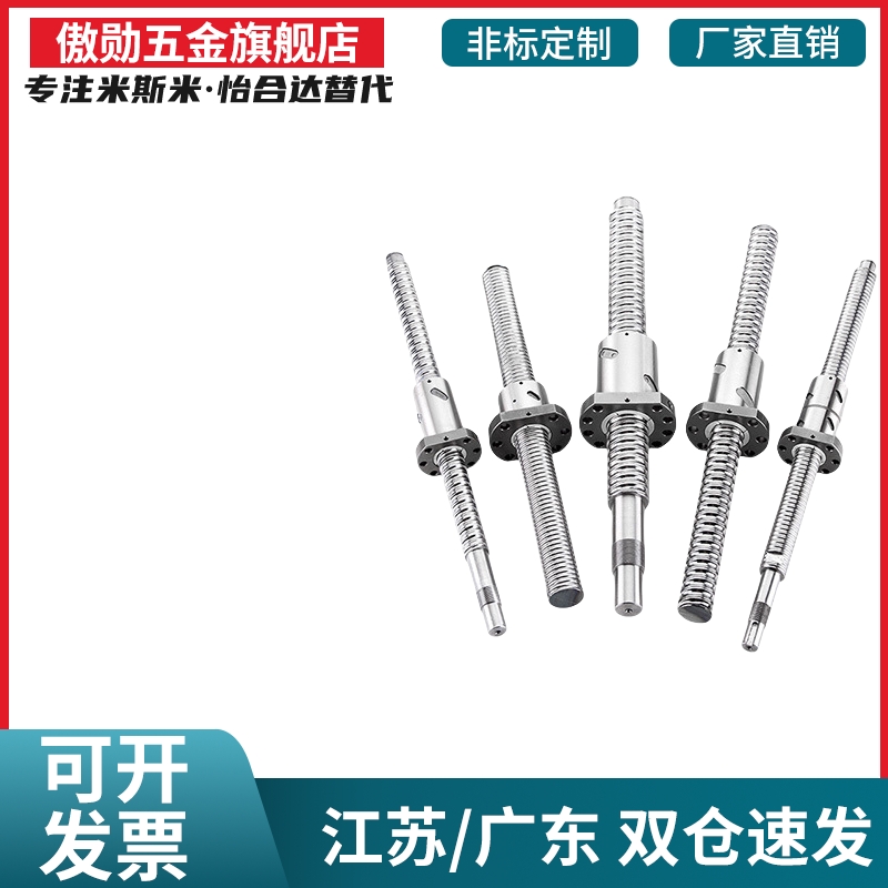 滚珠丝杠丝杆C-BSSC/BSSCK/BSST/BSSZ/BSSRK0802 1004 1002 1204