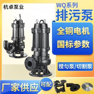 22千瓦潜污泵100WQ100 22kw大功率污水处理厂输送泵离心潜水泵