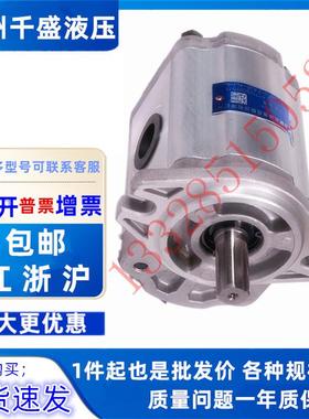 合肥长源齿轮泵 CBTD-F410/F412.5/F414/F416/F418/F420-ALP/AFHL