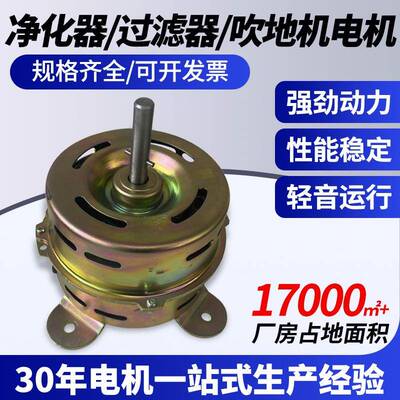 净化器/过滤器/吹地机电机无刷微型电机1200-1800RPM直流电机