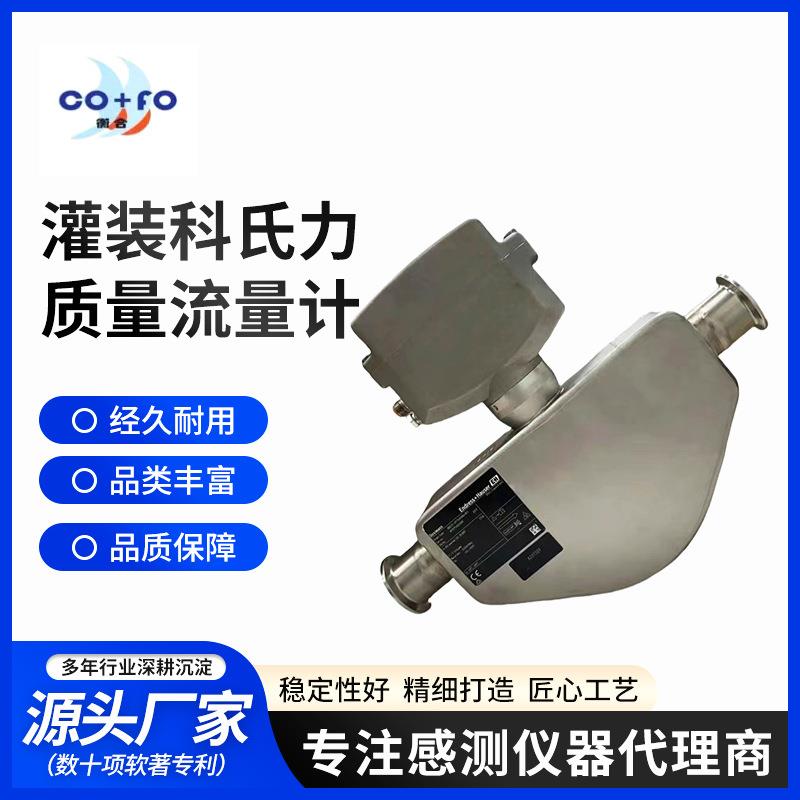 恩德斯豪斯罐装科氏智能管道质量流量计8BE25测蒸汽气体高精度