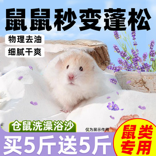 仓鼠浴沙尿沙二合一浴室沐浴专用金丝熊去油除臭清洁仓鼠宠物用品