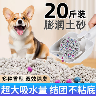 狗狗膨润砂除臭专用狗厕所拉屎20斤狗砂猫砂中小型犬通用宠物用品