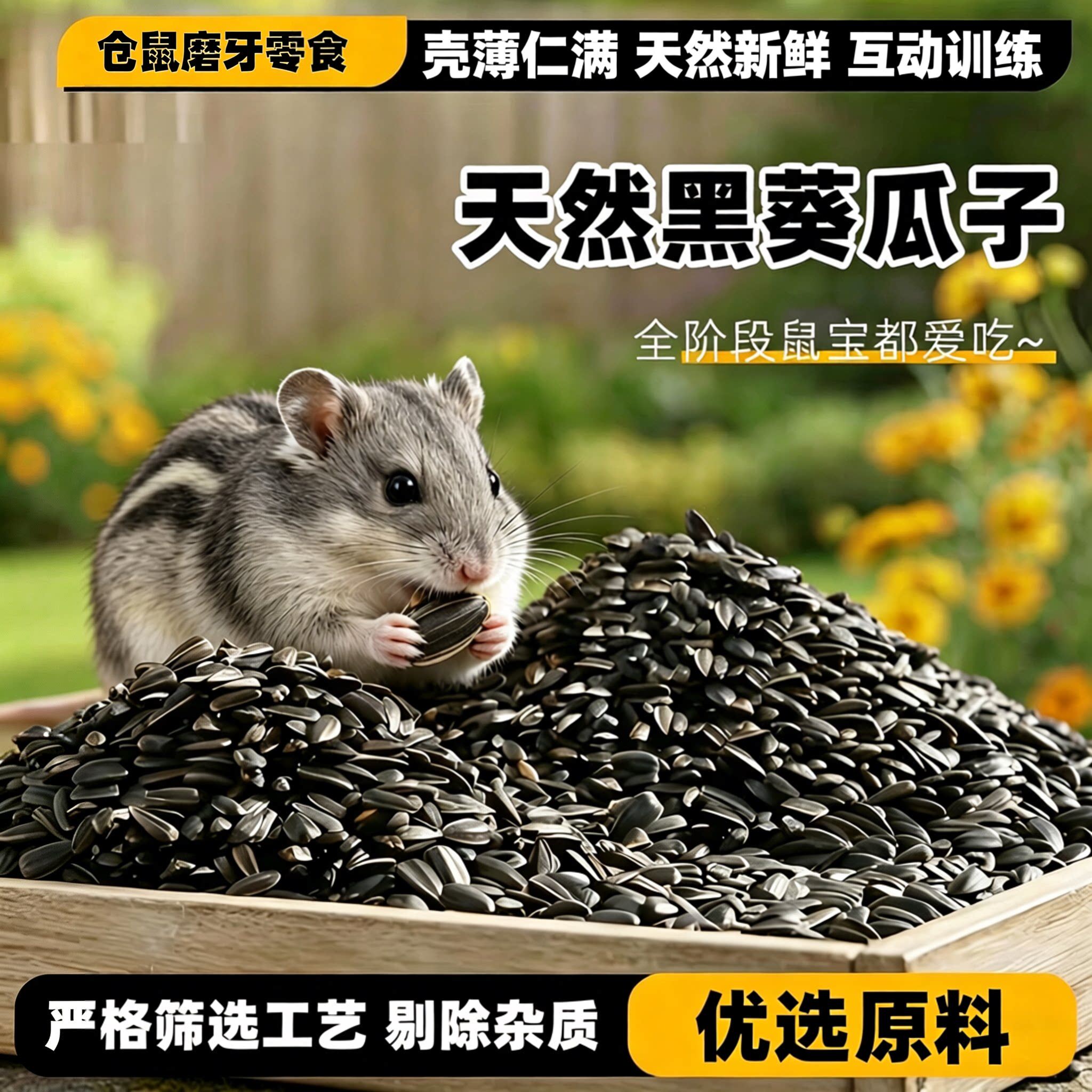 仓鼠零食油葵小瓜子鼠类零食磨