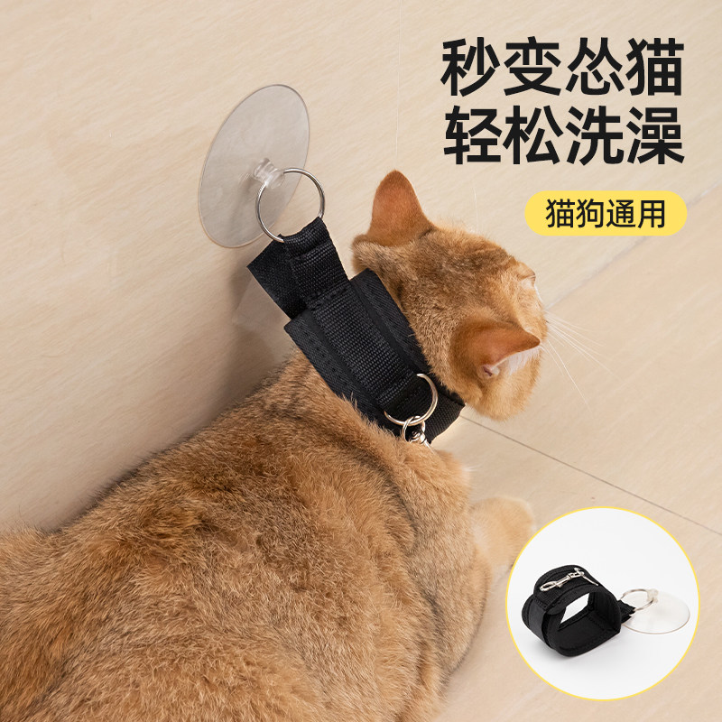 猫咪洗澡固定器防抓咬工具吸盘